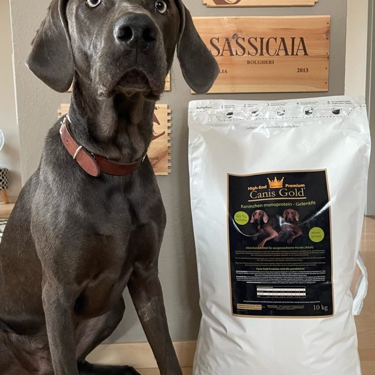 Singleprotein Hundefutter Kaninchen